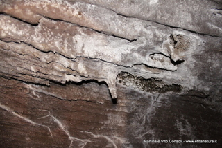 otta di Serracozzo-05-08-2014 12-09-27